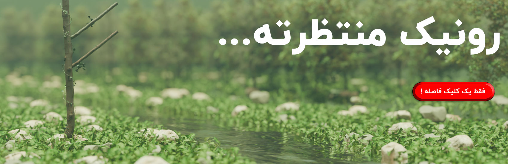 رونیک